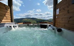 Ours Brun - Vue Panoramique La Bresse-Gerardmer